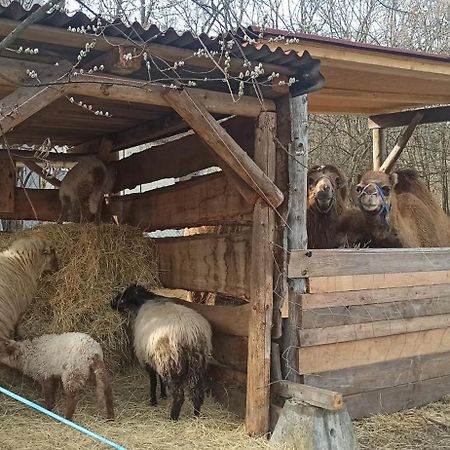 Apartman U Kocky Бланско Екстер'єр фото